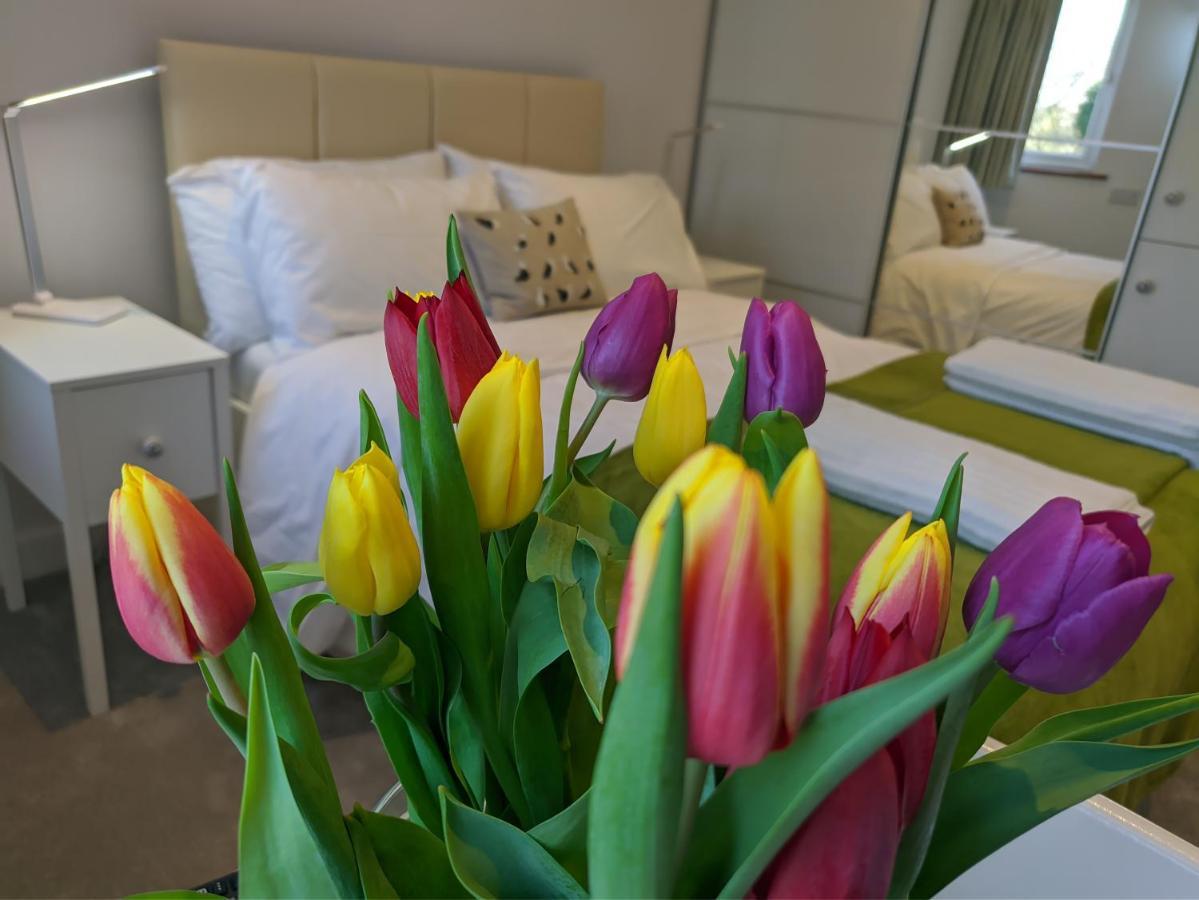 Darracott Farm Cottage Welcombe 외부 사진