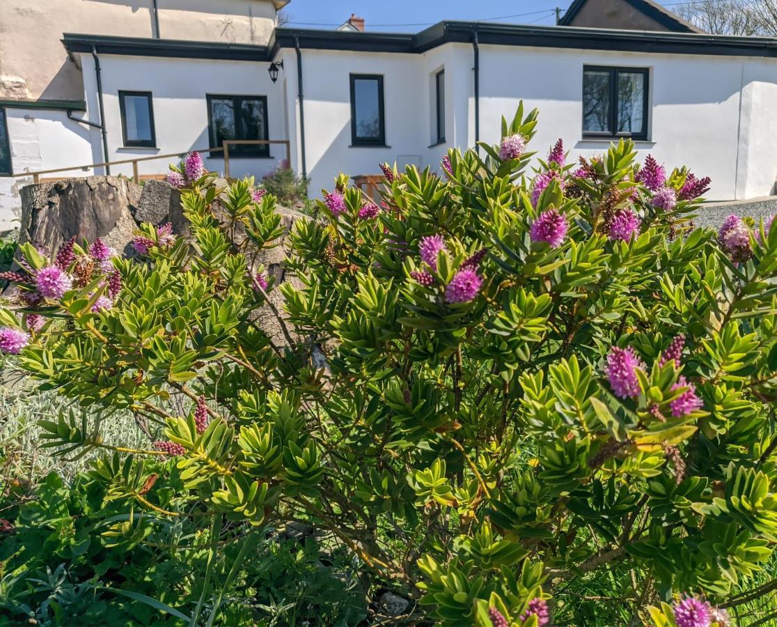 Darracott Farm Cottage Welcombe 외부 사진