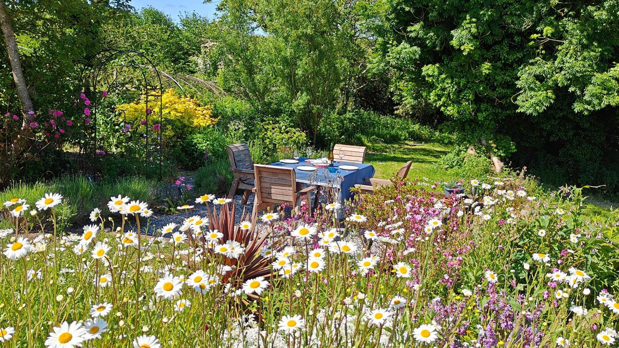Darracott Farm Cottage Welcombe 외부 사진
